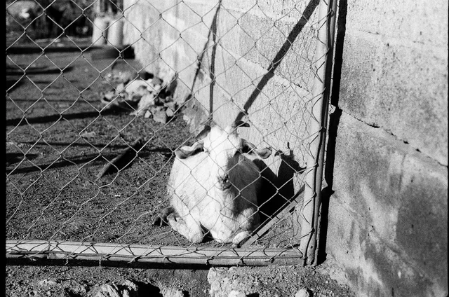 Calle en film, fotografía 3 de 8