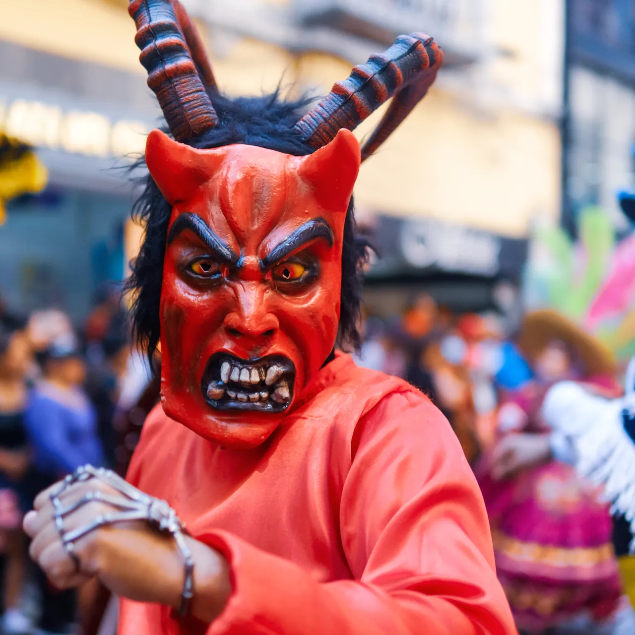 Carnaval y vida